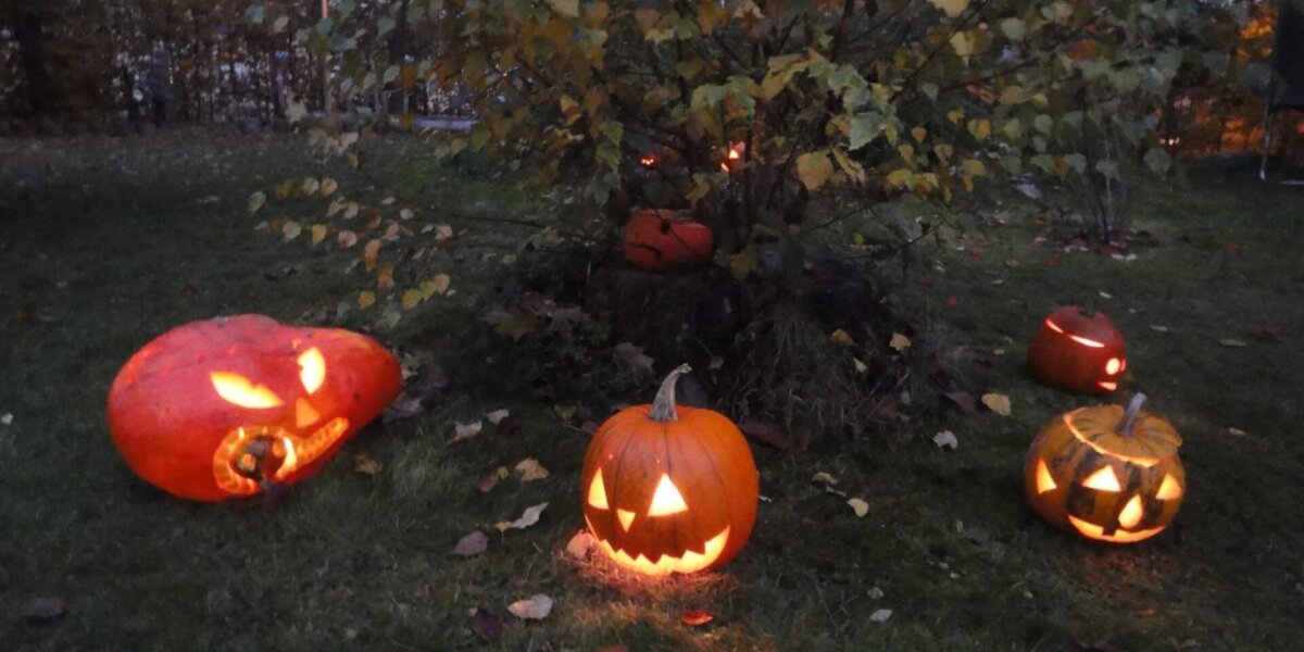 Dýňování