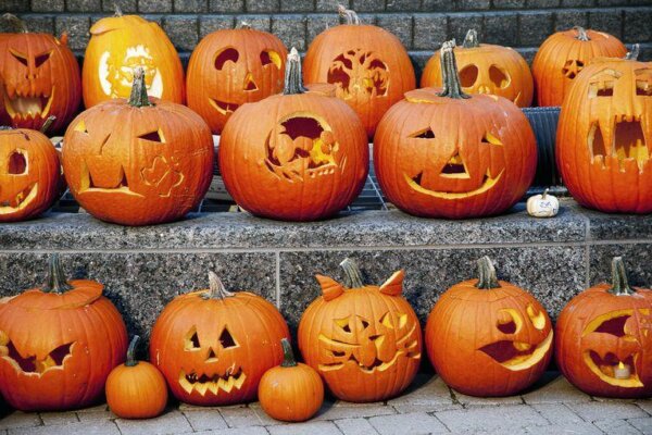 DÝŇOVÁNÍ