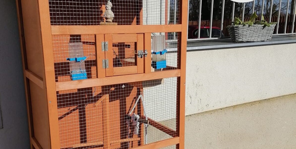 Andulky se stěhují ven do nového domečku