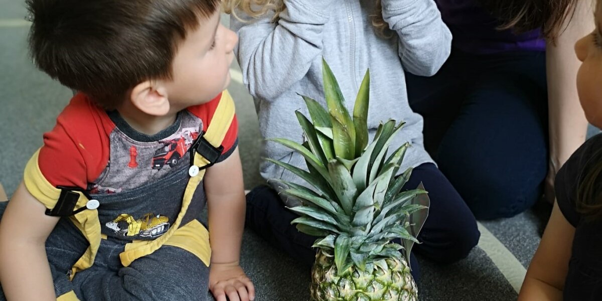 Nahlédnutí do školky: Afrika a tamní ovoce