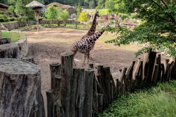 Výlet do ZOO Jihlava
