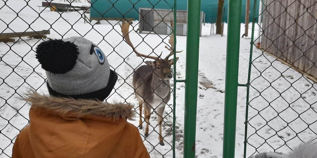 Výlet do dančí obory v Horních Rápoticích