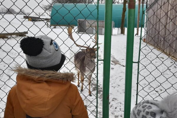 Výlet do dančí obory v Horních Rápoticích
