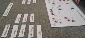 Tři dny inspirace z Montessori centra - Mateřská škola a Základní škola Questo